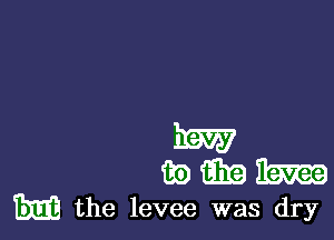 km?
wmm

m the levee was dry