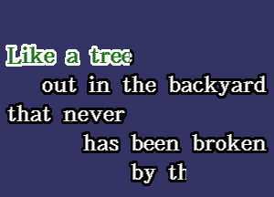 Mam

out hlthe backyard

that never

has been broken
by tt
