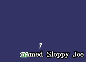 7
wmed Sloppy J 0e