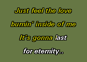 Just feel the love

burnin' inside of me

It's gonna last

for eternity. .