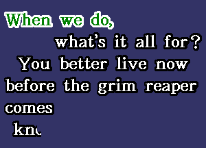 mmmibz,

What,s it all for?
You better live now
before the grim reaper
comes

kIlk.