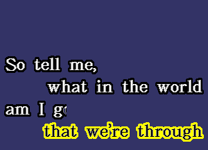 So tell me,
what in the world
am I ga

WWW