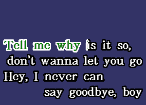 Mnmas it so,

don,t wanna let you go
Hey, I never can
say goodbye, boy