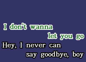 11 don't

I63

Hey, I never can
say goodbye, boy