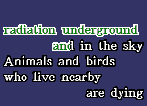 m1 in the sky
Animals and birds
Who live nearby

are dying