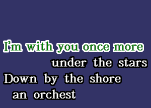 mmmm
under the stars

Down by the shore
an orchest