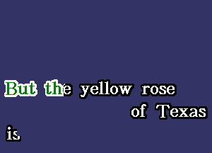 E3353 yellow rose

of Texas

i5.