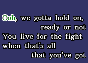 we gotta hold on,
ready or not

You live for the fight
When thatts all
that youtve got