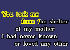 iihe shelter
of my mother
I had never known

or loved any other