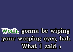 gonna be Wiping
your weeping eyes, hah

What I said 1