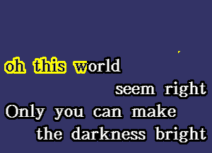 6131 (ME) World

seem right
Only you can make
the darkness bright