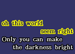 diam'dl
um

Only you can make
the darkness bright