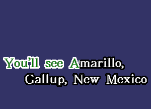 m Amarillo,
Gallup, New Mexico