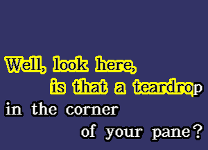 Mkm

EEMQWQ

in the corner
of your pane?