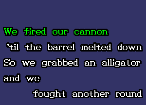 We fired our cannon

etil the barrel melted down
So we grabbed an alligator
and we

fought another round