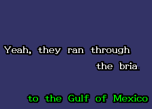 Yeah, they ran through

the brie

t0 the Gulf of Mexico