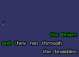 the briars

and they ran through

the brambles