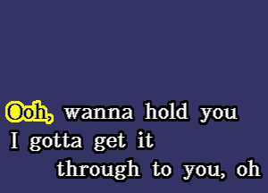 wanna hold you
I gotta get it
through to you, oh