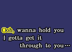 Wanna hold you
I gotta get it
through to you-