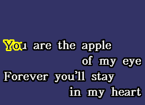 W1 are the apple

of my eye
Forever you1l stay
in my heart