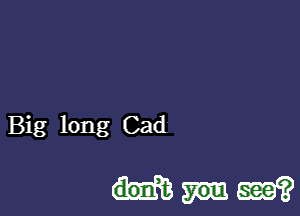 Big long Cad

Mm?