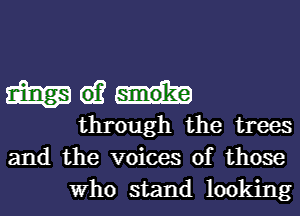 m 61?
through the trees
and the voices of those

Who stand looking