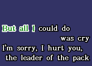 Em II could do

was cry
Fm sorry, I hurt you,
the leader of the pack