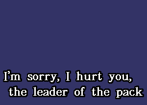 Fm sorry, I hurt you,
the leader of the pack