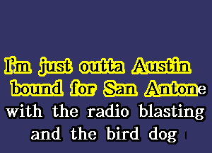 mm 3mm 0mm 4mm
ha m
With the radio blasting

and the bird dog