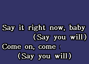 Say it right now, baby

(Say you will)
Come on, come '
(Say you Will)