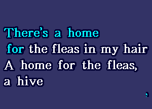 There,s a home
for the fleas in my hair

A home for the fleas,
a hive