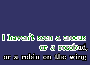 E W seen a enoeus
a nose'bud,
or a robin 0n the Wing