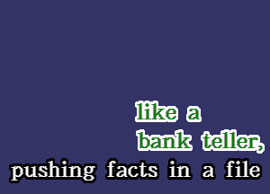 mag a
bank mm,

pushing facts in a file