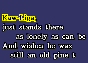 just stands there
as lonely as can be
And Wishes he was

still an old pine t.