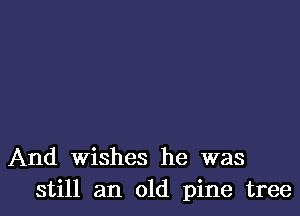 And Wishes he was
still an old pine tree