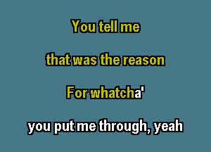 You tell me
that was the reason

For whatcha'

you put me through, yeah