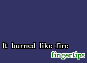 It burned like fire

fuiungert-ilps