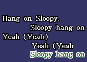 Hang on Sloopy,
Sloopy hang on

Yeah (Yeah)
Yeah (Yeah

mm