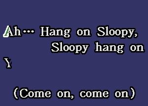 Ahm Hang on Sloopy,
Sloopy hang on
X

(Come on, come on)