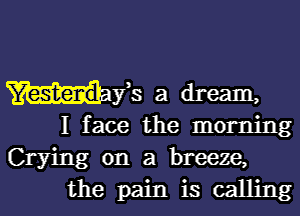 His 3 dream.
I face the morning

Crying on a breeze,
the pain is calling