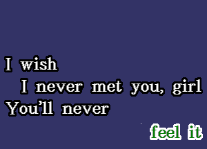 I Wish
I never met you, girl
You 1l never

MEB