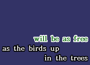 mm as M
as the birds up

in the trees