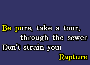 Be pure, take a tour,

through the sewer
Don t strain youl
Rapture