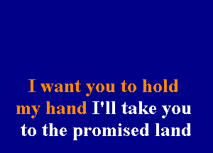 I want you to hold
my hand I'll take you
to the promised land