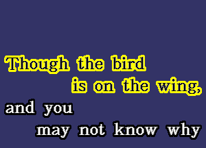 aim
Ea 15in w

and you
may not know Why