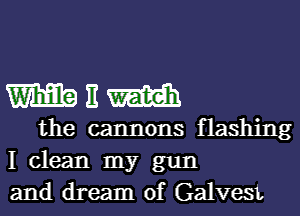 WEW

the cannons flashing
I clean my gun
and dream of GalveSL