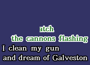 am
15in fil-ash'ing
I clean my gun
and dream of Galveston