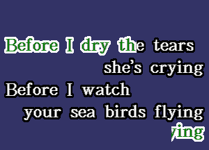 II 6316 tears

she s crying

Before I watch
your sea birds flying

m