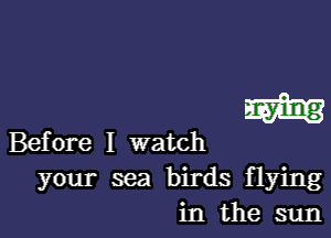 m

Before I watch
your sea birds flying
in the sun