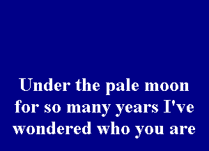 Under the pale moon
for so many years I've
wondered who you are